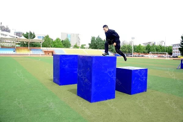 1769585282736661.jpg 8.jpg